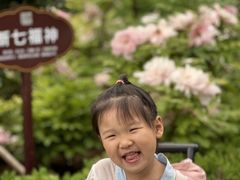 -洛阳市牡丹公园