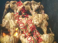 -大京袁记烤全羊农家(大京水库店)