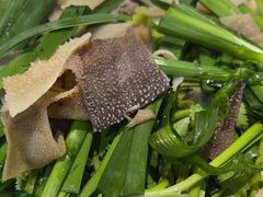 -西江红·株洲本地菜(滨江南路店)