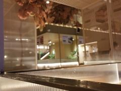 -生如夏花泰式火锅(西村黑金店)