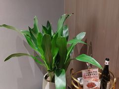 -盛福楼·惠山宴(盛岸路店)