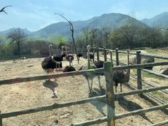 -西安秦岭野生动物园