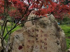 -广州市帽峰山景区