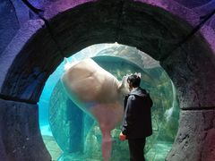 -波塞冬旅游度假区
