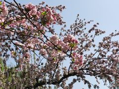 -海棠花溪(元大都城垣遗址公园)