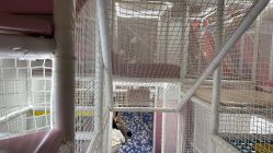 -奈尔宝·儿童乐园·亲子餐厅(华采天地店)