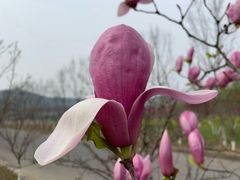 -江南大学(蠡湖校区)