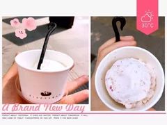 -BLACKSWAN黑天鹅(环球店)