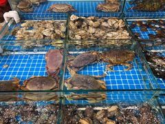 -江杨农产品批发市场