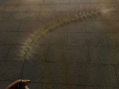 -锅十二涮肉馆·鞭蛋锅