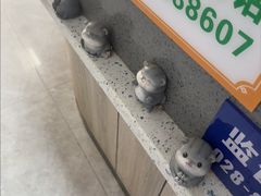 -半岛宠物医院24小时(白果林店)