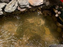 -綱元·海鲜豆捞(明州里店)