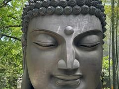 -杭州植物园
