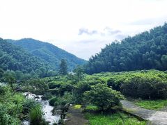 -八大山人梅湖景区
