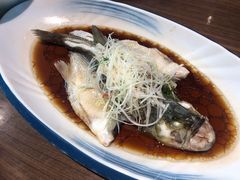 清蒸鲈鱼-有红鸡毛店·川菜(建设路店)