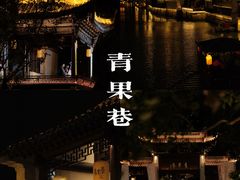 -青果巷历史文化街区