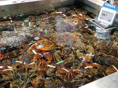 芝士焗波龙-盒马鲜生(189购物中心店)