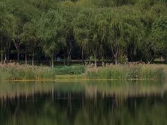 -北坞公园