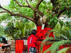 -寿山福海养老服务中心(石景山院)
