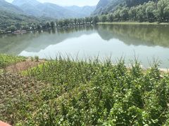 -后柳水乡