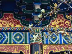 -真庆观