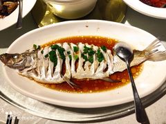 -金美华轩(东方路齐鲁店)