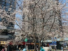 -龙湖南京江北天街
