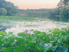 -承德避暑山庄景区