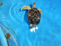 -泉城欧乐堡海洋极地世界