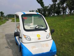 -洪湖湿地生态园