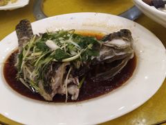 -鸿达渔港