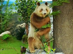 -西安大唐西市博物馆