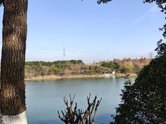 -羊山湖公园