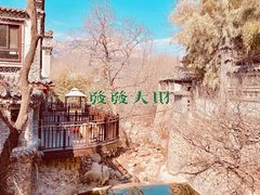 -老张烤羊(王哥庄店)