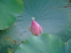 -丝绸小镇荻港古村