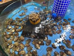 -海棠湾聚鼎香海鲜坊(海昌梦幻不夜城店)