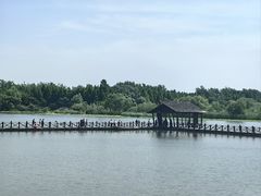 -溱湖国家湿地公园