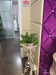 -薇兰专业脱毛连锁机构