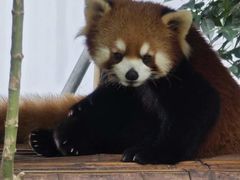-杭州少年儿童公园