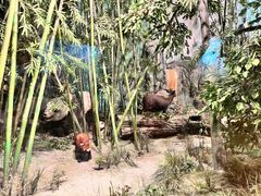 -吉林省自然博物馆