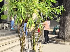 -陈家祠堂-游客中心