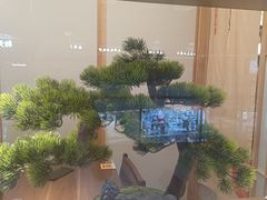 -七条鱼日本料理(远洋乐堤港店)