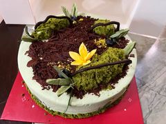 “自由生长”牛油果芒果椰香蛋糕-派悦坊·甜品·蛋糕(日坛店)