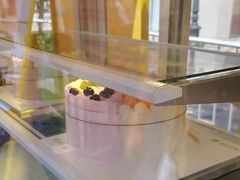 -维尔纳斯·生日蛋糕动物奶油冰淇淋蛋糕(人大店)