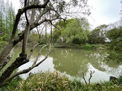 -上海醉白池公园