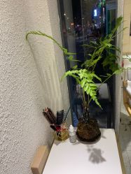 点击看大图 -菲·木田moontin造型salon