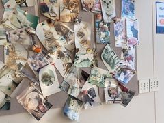 -芭比堂动物医院·CT·微创中心(新顺分院)