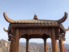 -大岭沟猕猴桃谷风景区