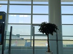 -南通兴东国际机场