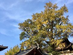 -径山寺